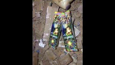 तमिलनाडु: दिवाली के लिए लाए गए पटाखों में विस्फोट से 3 लोगों की मौत