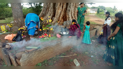 ಗೌರಿ, ಗಣೇಶನಿಗಿಂತ ನಾಗಪ್ಪನನ್ನು ಕಂಡರೆ ಇಲ್ಲಿನ ಭಕ್ತರಿಗೆ ಭಯ