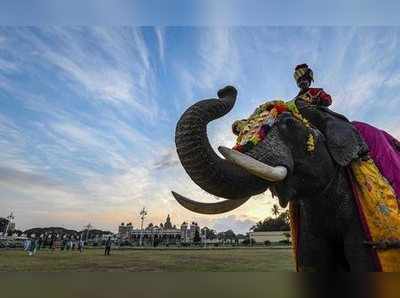 ದಸರಾಗೆ 25 ಕೋಟಿ ರೂ. ಅನುದಾನಕ್ಕೆ ಮನವಿ