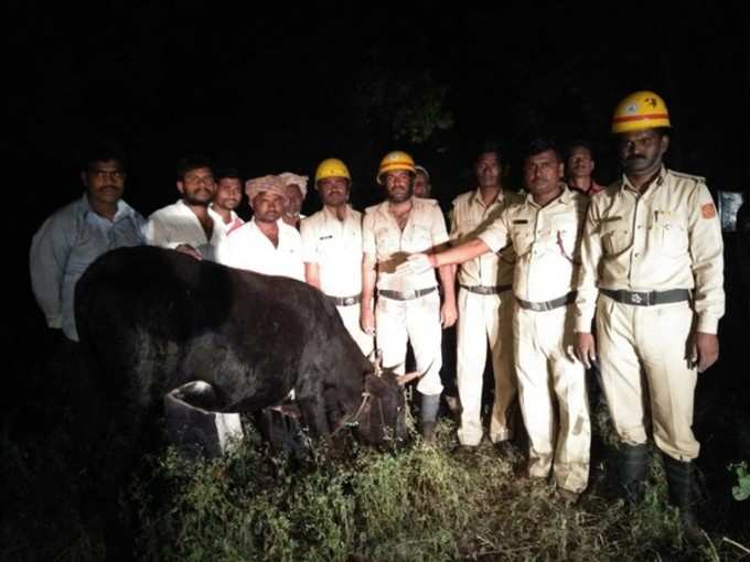 ತೆರೆದ ಬಾವಿಗೆ ಬಿದ್ದಿದ್ದ ಜರ್ಸಿ ಆಕಳು ರಕ್ಷಿಸಿದ ಅಗ್ನಿಶಾಮಕ ಸಿಬ್ಬಂದಿ