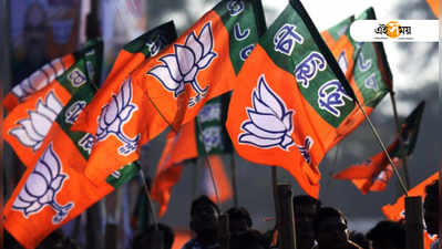 2019 Lok Sabha election: লোকসভা ভোটে জিততে T20 ফরমুলা BJP-র