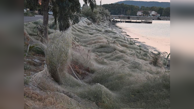 ग्रीसः यहां मकड़ों ने जाले से घेर लिया एक शहर