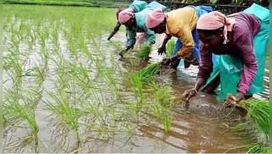 விவசாயிகளுக்கு உதவும் செயலியை அறிமுகம் செய்த பிரபல டிராக்டர் நிறுவனம்