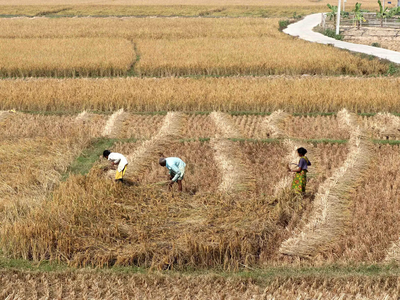 ಸೊರಬ ತಾಲೂಕು ಬರಪೀಡಿತ ಘೋಷಣೆಗೆ ಆಗ್ರಹ