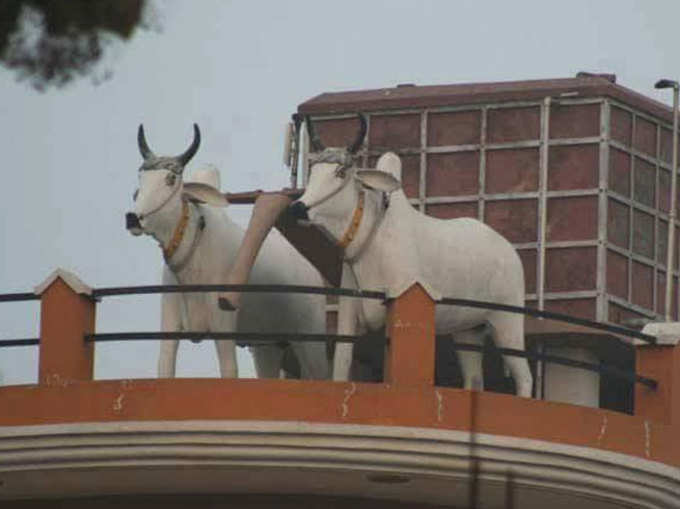 बैलगाड़ी का नंबर