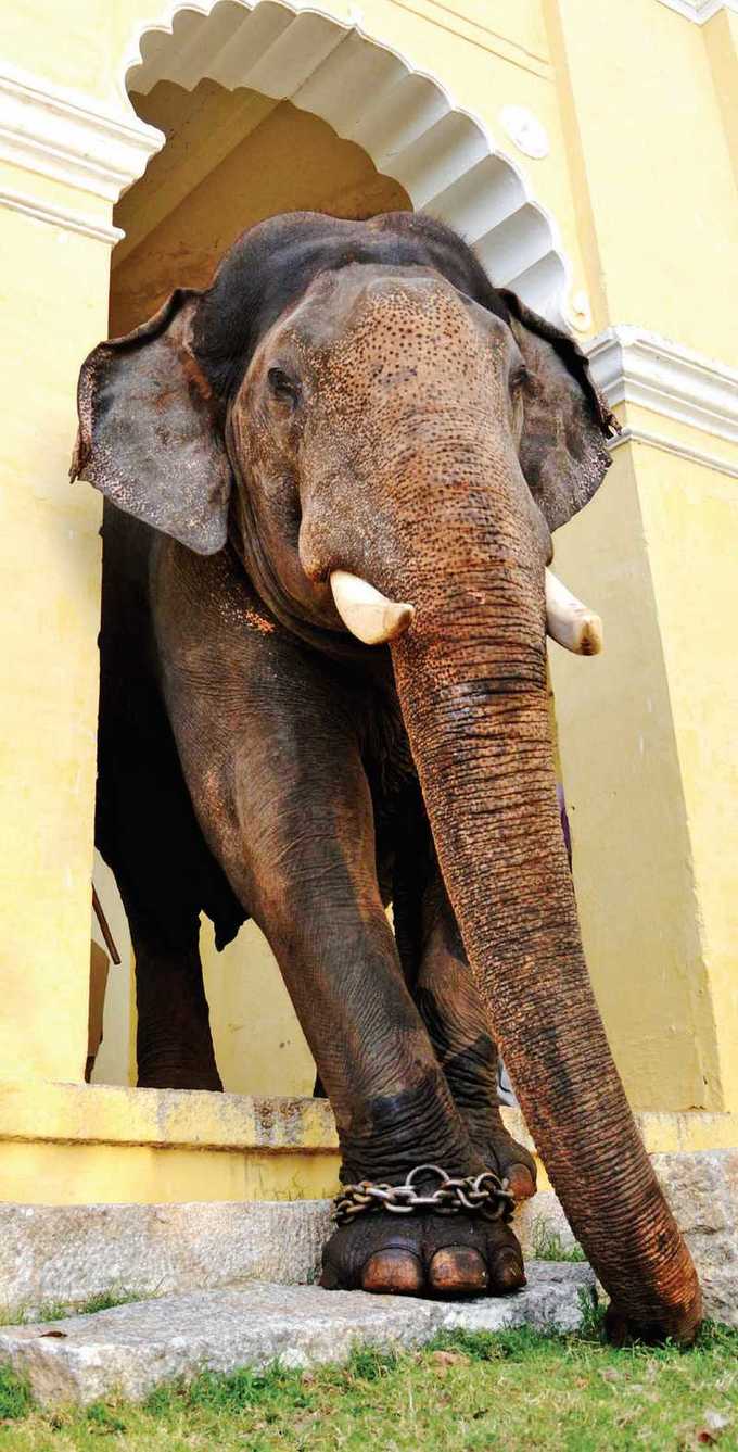 ಕ್ಲಿಕ್‌ ಕ್ಲಿಕ್‌ ಕ್ಲಿಕ್