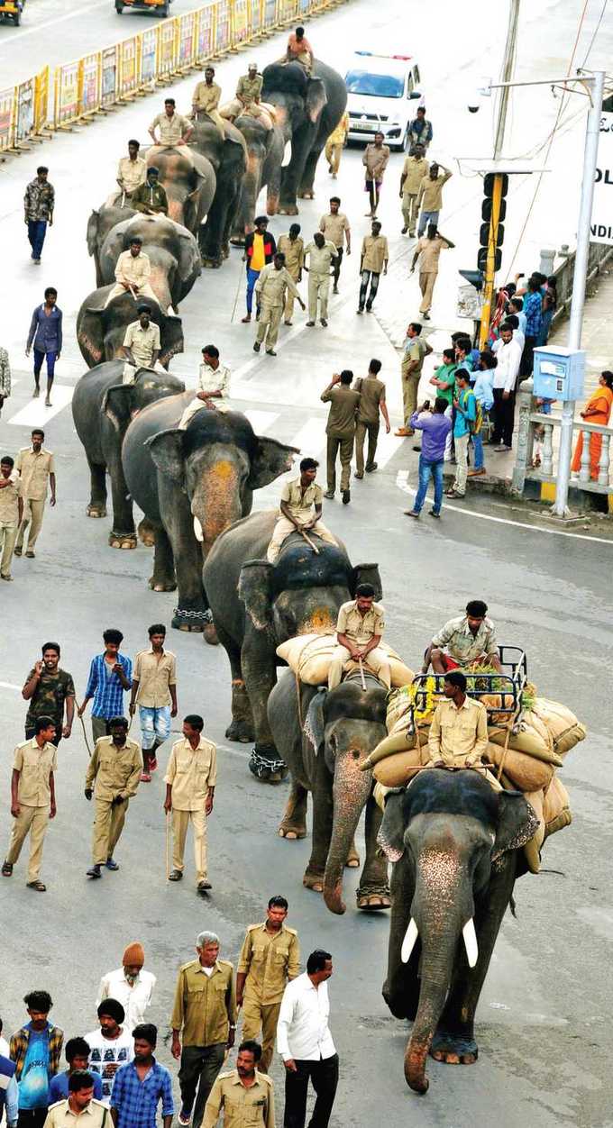 ಹೇಗಿದೆ ನೋಡಿ ಗಜಪಡೆಯ ಸವಾರಿ