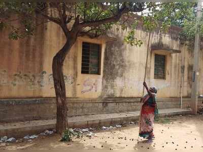 ಹೂವರಸಿ ಮುನಿವೆಂಕಟಮ್ಮಳ ಎಲೆಮರೆಯ ಪರಿಸರ ಸೇವೆ !