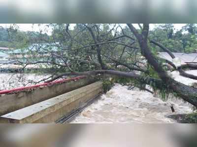 സന്നിധാനത്ത് കനത്ത മഴ; പമ്പയിലെ ജലനിരപ്പ് ഉയർന്നു