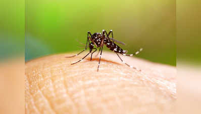 पीएम के संसदीय क्षेत्र वाराणसी में डेंगू का प्रकोप, 50 से अधिक मामलों की पुष्टि