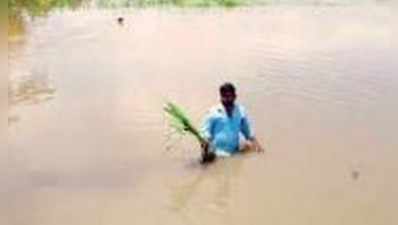 ಮಂಗಳೂರು, ಮೈಸೂರು ರಸ್ತೆ ಕೆಲಸಕ್ಕೆ ಮಂಡ್ಯ ಕೆರೆಗಳ ಹೂಳು