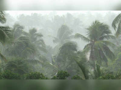 ശക്തമായ മഴയ്ക്ക് സാധ്യത; നാല് ജില്ലകളിൽ യെല്ലോ അലെർട്ട്