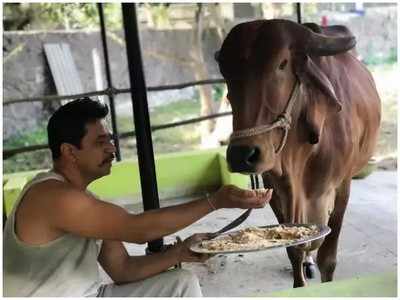 ಅರ್ಜುನ್‌ ಸರ್ಜಾಗೆ  ಸರ್‌ಪ್ರೈಸ್‌ ನೀಡಿದ ಪುತ್ರಿಯರು