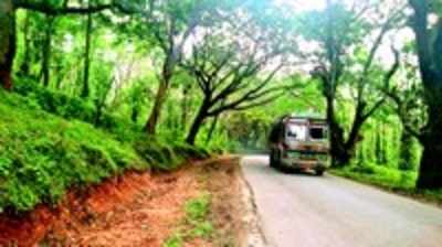 ಪ್ರಯಾಣಿಕರಿಗೆ ನೆತ್ತಿ ಮೇಲೆ ತೂಗುವ ಮರಗಳ ಭೀತಿ