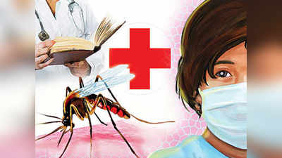 वसईत डेंग्यूमुळे महिलेचा मृत्यू