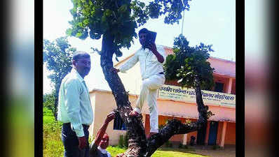 झारखंड: जानें, हाथ में टैबलट लेकर पेड़ पर क्यों चढ़ते हैं टीचर्स