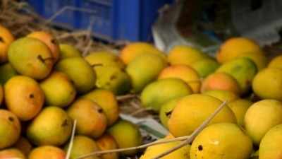 Alphonso mango: அல்போன்சா மாம்பழத்துக்கு சர்வதேச அங்கீகாரம்