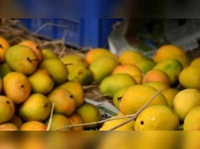 Alphonso mango: அல்போன்சா மாம்பழத்துக்கு சர்வதேச அங்கீகாரம்