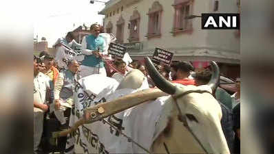 केंद्रीय मंत्री विजय गोयल ने बैलगाड़ी चलाकर दिल्ली सरकार से की पेट्रोल-डीजल के दाम घटाने की मांग