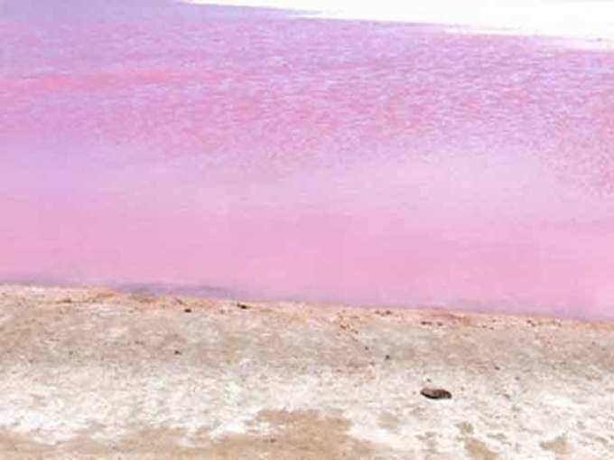 ​क्वैरेडिंग गुलाबी झील