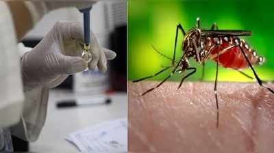 Zika Fever: వణికిస్తున్న జికా వైరస్.. జైపూర్‌లో 29 కేసులు