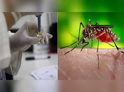 Zika Fever: వణికిస్తున్న జికా వైరస్.. జైపూర్‌లో 29 కేసులు