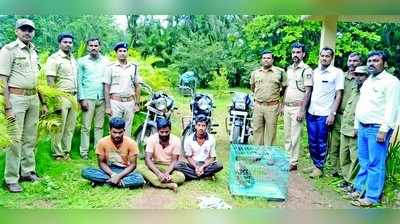 ಜೀವಂತ ಗೂಬೆ ಸಾಗಿಸುತ್ತಿದ್ದ ಮೂವರ ಬಂಧನ