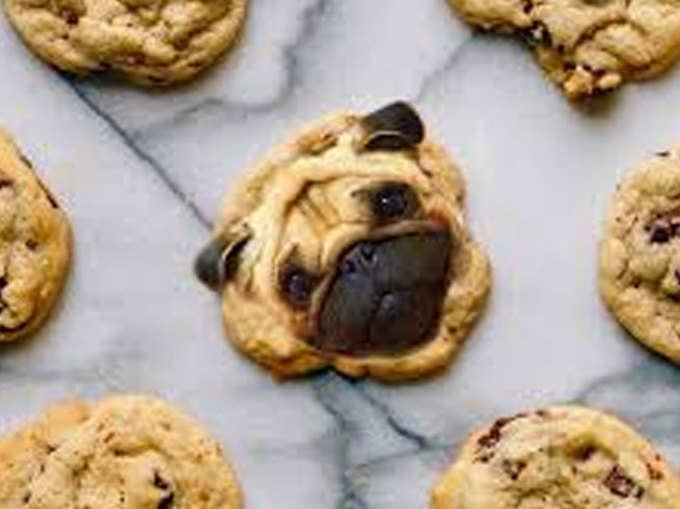 कुकी नहीं ये है पपी