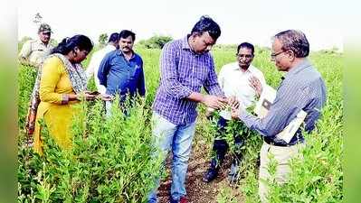 ಬೆಳೆ ಹಾನಿ: ನಿಖರ ಜಂಟಿ ಸಮೀಕ್ಷೆ ಮಾಡಿ