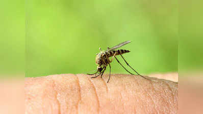 पुणेः 13 दिनों में आए 207 डेंगू के मामले, इलाके में दहशत