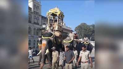 ಸವಾರಿಗೆ ಸಿದ್ಧವಾದ ಗಜಪಡೆ