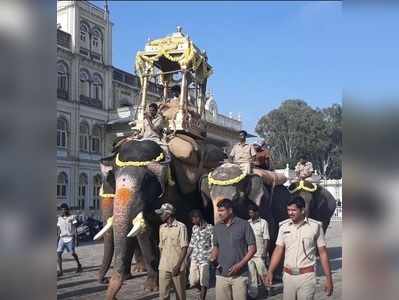 ಸವಾರಿಗೆ ಸಿದ್ಧವಾದ ಗಜಪಡೆ