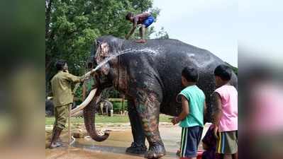 ರಿಲ್ಯಾಕ್ಸ್‌ ಮೂಡ್‌ನಲ್ಲಿ ಅರ್ಜುನ ಪಡೆ