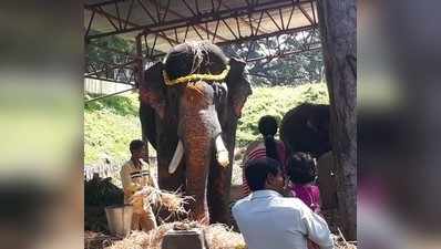 ಚಾಮುಂಡೇಶ್ವರಿ ತಾಯಿ ಹೊತ್ತ ಬಳಿಕ ಅಚ್ಚರಿ ಗುಣಗಳನ್ನು ಮೈಗೂಡಿಸಿಕೊಂಡ ಅರ್ಜುನ