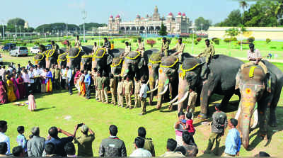 ಕಾಡಿಗೆ ತೆರಳಿದ ಗಜಪಡೆ; ಕಣ್ಣೀರಿಟ್ಟ ಅರ್ಜುನ, ಹೋಗಲ್ಲ ಎಂದು ಹಠ ಹಿಡಿದ ಧನಂಜಯ