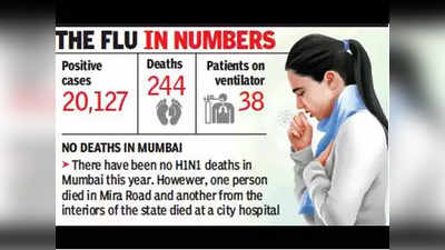 swine flu: राज्यात स्वाइन फ्लूने वर्षभरात २४४ जणांचा मृत्यू