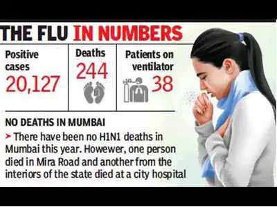 swine flu: राज्यात स्वाइन फ्लूने वर्षभरात २४४ जणांचा मृत्यू