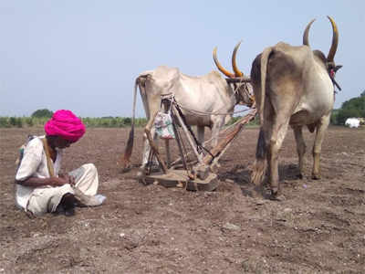 ९० वर्षाचे आजोबा हाकतात नांगर