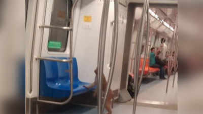 जब यात्री की तरह बंदरों ने की मेट्रो की सवारी