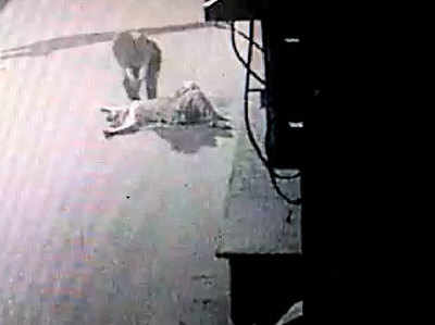 शामली में महिला की गोली मारकर हत्या, सीसीटीवी में कैद हुई वारदात