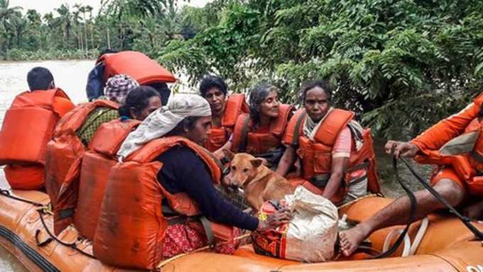 kerala floods wayand