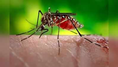 Zika Virus Symptoms : ஜிகா வைரஸின் அறிகுறிகள், மற்றும் தடுக்கும் வழிமுறைகள்!