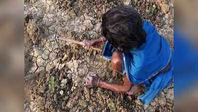 ओडिशा: करीब 2.33 लाख हेक्टेयर की फसल को सूखे से नुकसान, किसानों को मिलेगा मुआवजा