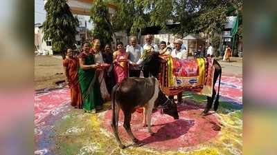 दीपोत्सवासाठी सज्जता