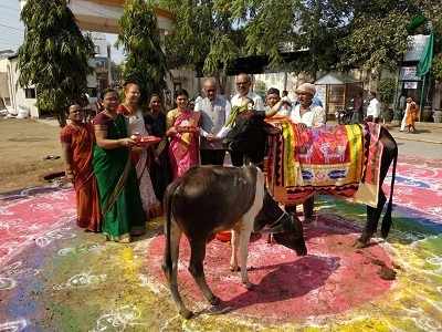 दीपोत्सवासाठी सज्जता