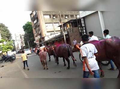 ದೀಪಾವಳಿ ಮೆರುಗು ಹೆಚ್ಚಿಸಿದ ಎಮ್ಮೆ ಓಟ