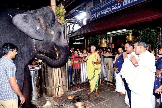 ಕುಕ್ಕೆ ದೇಗುಲದಲ್ಲಿ ಗಜಪೂಜೆ