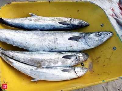कैंसर फैलने का डर, गोवा में छह महीने के लिए मछली आयात पर बैन