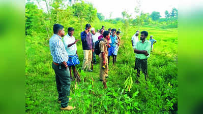 ಹುಲಿ ದಾಳಿಗೆ ಹಸು ಬಲಿ