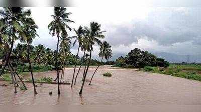 Gaja Cyclone: தமிழக அரசுக்கு மத்திய நீர் ஆணையம் அறிவுரை!!
